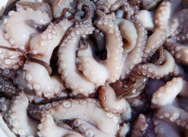 Taze ahtapotlar kapanıyor.