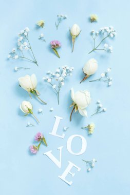Çiçekler ve sözcük açık mavi arka planda aşk