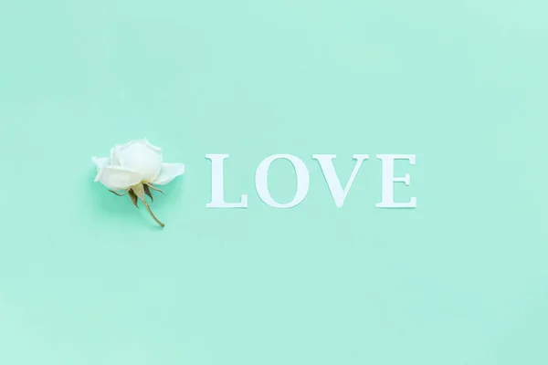 Floare și cuvânt Dragoste pe un fundal verde deschis — Fotografie, imagine de stoc