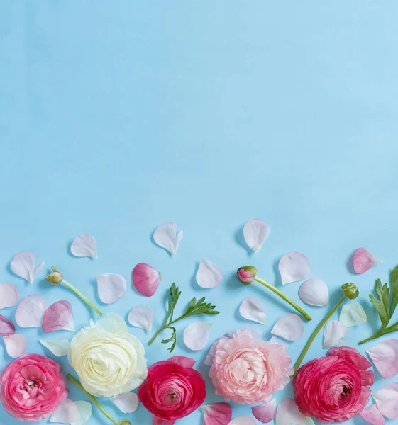 Rosa Blumen auf hellblauem Hintergrund — Stockfoto