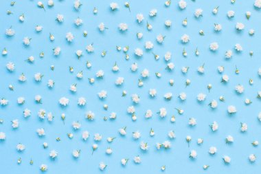 Açık mavi arkaplanda küçük beyaz çiçekler