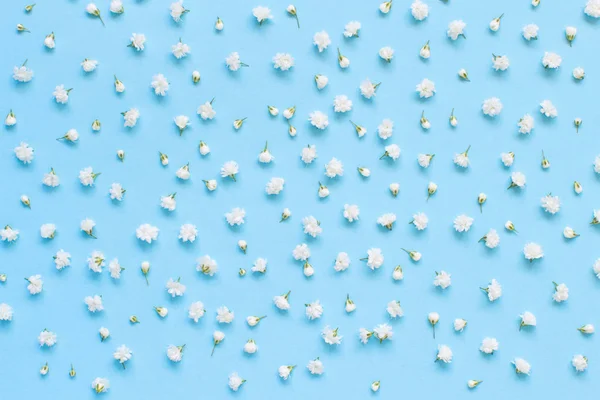 Açık mavi arkaplanda küçük beyaz çiçekler — Stok fotoğraf