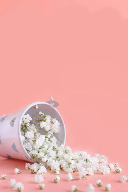 Pembe arka planda kovadaki küçük beyaz çiçekler.