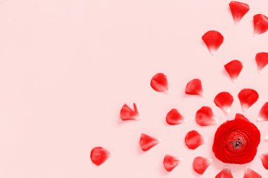 Açık pembe arka planda kırmızı çiçekler ve taç yaprakları