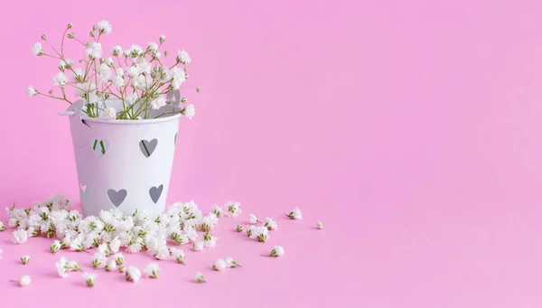 Małe białe kwiaty w wiadrze na różowym tle — Zdjęcie stockowe