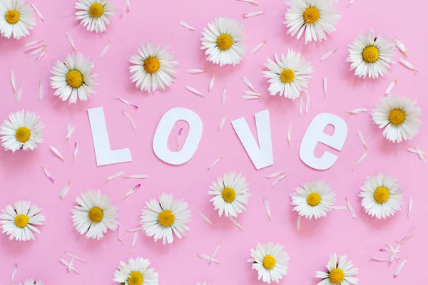 White daisies and text LOVE on a light pink background — Stock Photo, Image