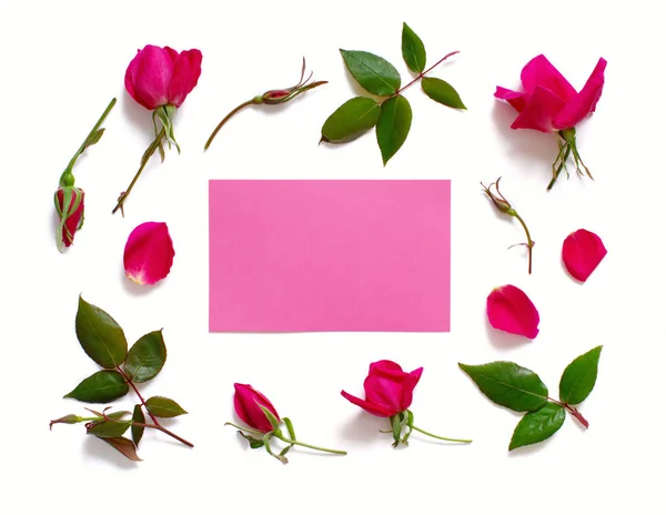 Bloemen en bladeren met roze papier op een witte achtergrond — Stockfoto