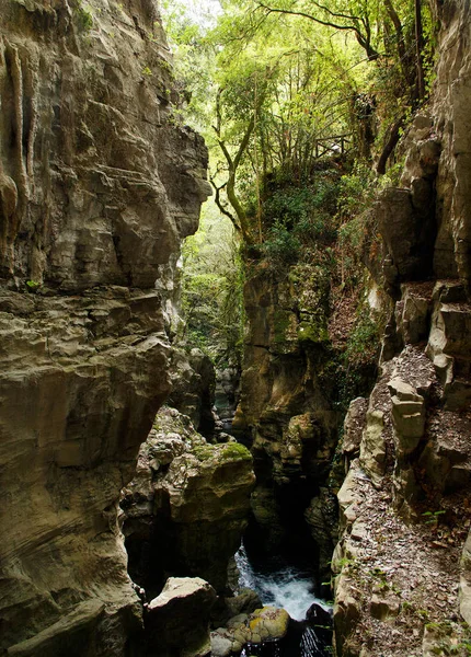 Heropleving van de rivier de Bussento in de grot in het natuurreservaat — Stockfoto