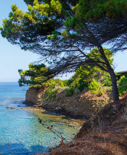 Panoramic view of the coast near Licosa — Stock Photo, Image