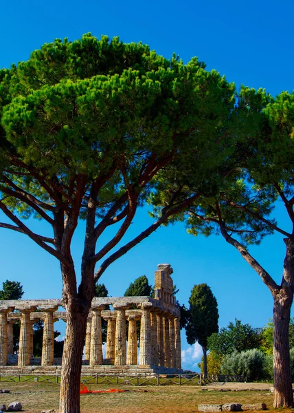 Греческий храм Афины. Пестум, Италия — стоковое фото