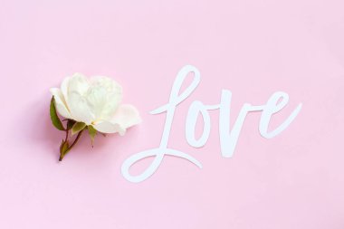 Krema gül ve metin açık pembe arka planda aşk