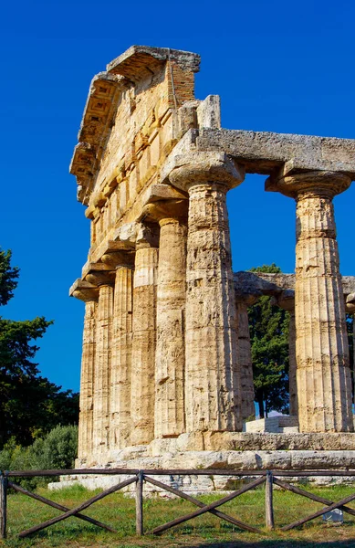 希腊雅典娜神庙 Paestum，意大利 — 图库照片