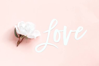 Krema gül ve metin açık pembe arka planda aşk