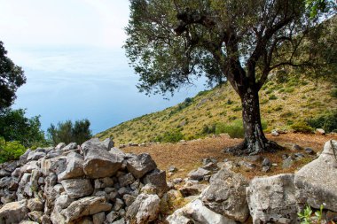 Costa di Masseta yakınlarındaki yürüyüş parkurundan görüntü 