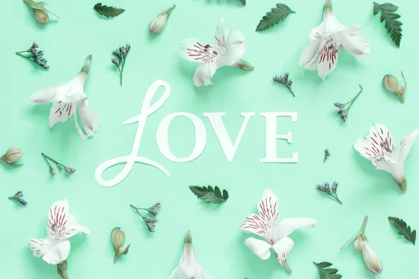 Açık yeşil arkaplanda çiçekler ve aşk yazıları — Stok fotoğraf