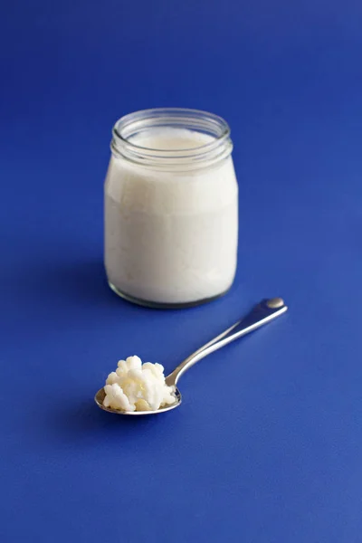 Jäst dryck kefir i små flaskor och kefir korn — Stockfoto