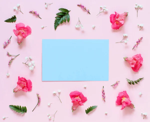 Blumen und blaues Papier auf hellrosa Hintergrund — Stockfoto