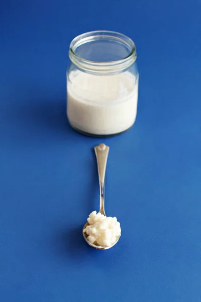 Kefir per bevande fermentate in piccole bottiglie e grani di kefir — Foto Stock