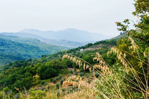 Panoramatický výhled na národní park Cilento v blízkosti Roscigna — Stock fotografie