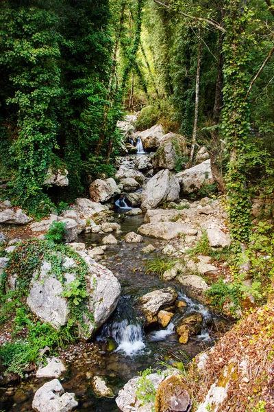 Rivière ruisseau dans la réserve naturelle de Morigerati — Photo