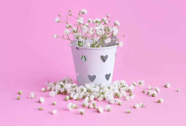 Małe białe kwiaty w wiadrze na różowym tle — Zdjęcie stockowe