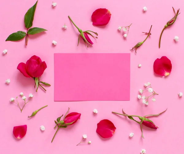 Fiori e petali su sfondo rosa chiaro — Foto Stock