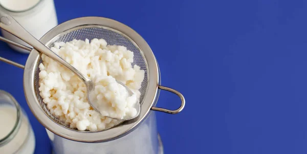 Kéfir de bebida fermentada en botellas pequeñas y granos de kéfir — Foto de Stock