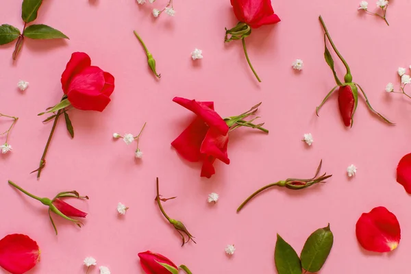 Pembe arka planda kırmızı güller olan bahar kompozisyonu — Stok fotoğraf