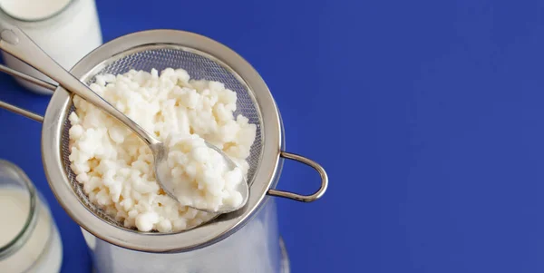 Erjesztett ital kefir kis palackokban és kefir szemek — Stock Fotó