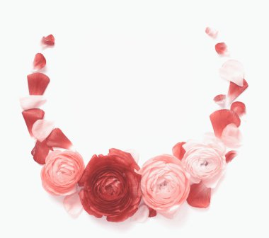 Beyaz arkaplan görünümlü pembe ranunculus çiçeklerinden yapılmış daire çerçeve