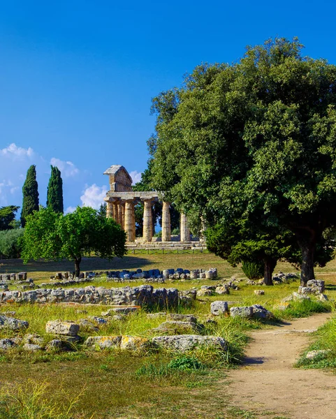 Templo Grego Athena Sítio Arqueológico Paestum Poseidonia Salerno Campania Itália — Fotografia de Stock