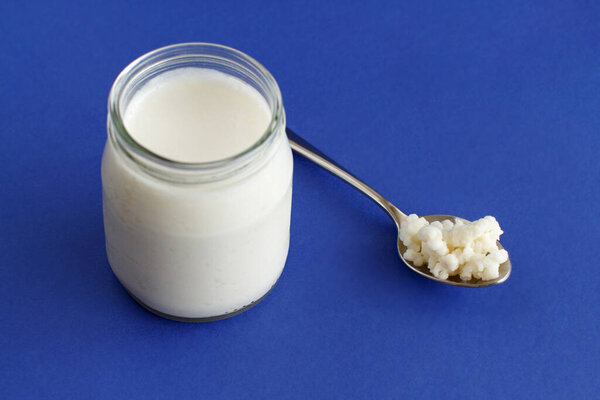 Fermented drink kefir in small bottle and kefir grains on a blue background close up