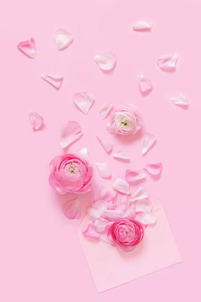 Flores Envelope Ranúnculo Rosa Fundo Rosa Claro Vista Superior — Fotografia de Stock