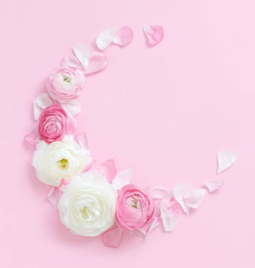 Açık pembe arkaplan manzaralı ranunculus çiçeklerinden yapılmış daire çerçeve. Bahar konsepti