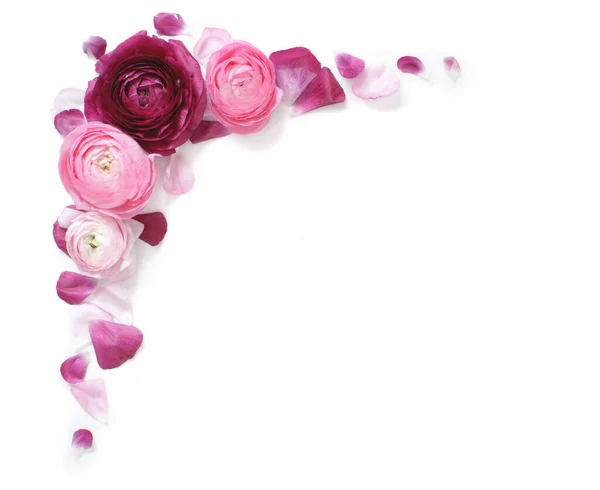 Rohový Rám Růžové Květy Izolované Bílém Horním Pohledu — Stock fotografie
