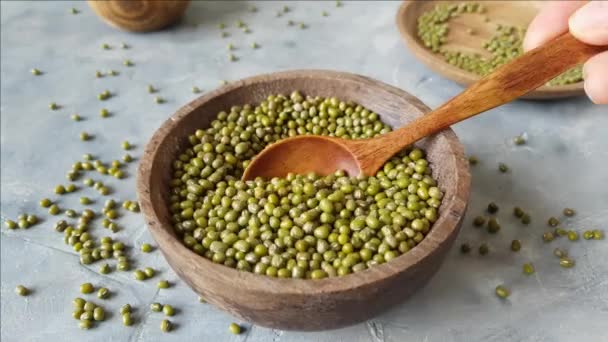 Mung beans grain in a bowl with in a spoon 