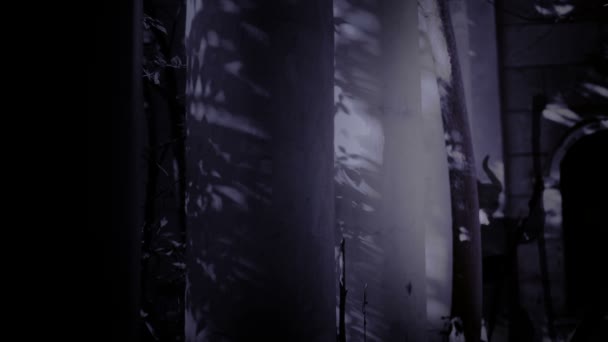 Fantasma strega cornuta cammina attraverso le rovine del castello. orrore di Halloween — Video Stock