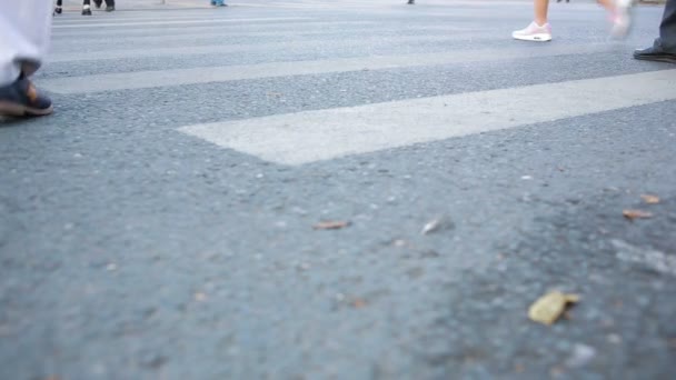 Foten övergångsställe. Personer över vägen. fötter som går på trottoaren. — Stockvideo