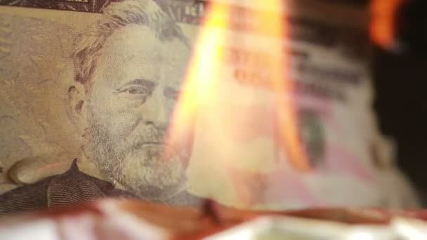 Nota de dólar a arder. fogo e dinheiro. 50 — Vídeo de Stock