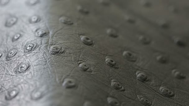 A macro shot of dark gray perforated artificial leather background texture — Stock Video