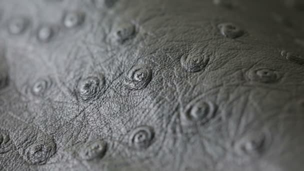 Una macro toma de gris oscuro perforado textura de fondo de cuero artificial — Vídeo de stock