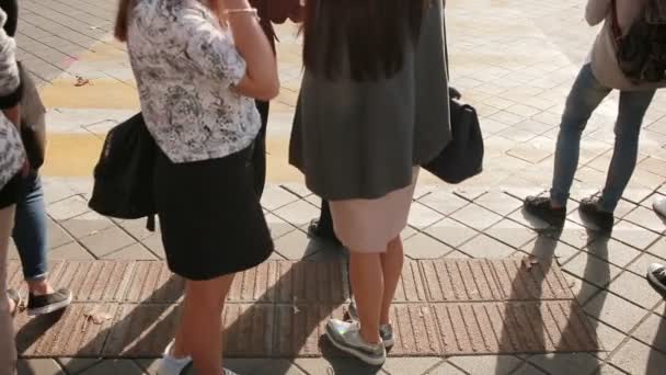 Paso peatonal. La gente cruza la calle. pies caminando sobre el pavimento . — Vídeo de stock