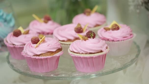 Tasty fresh raspberry cake. pastry with cream protein. close-up — Stock Video