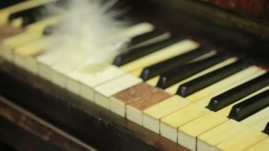 Tüy closeup piyano klavye üzerinde. eski piyano
