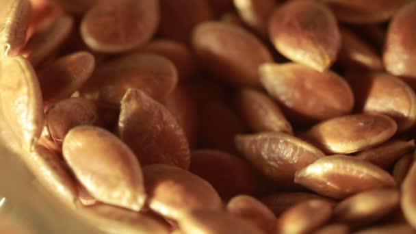 Pumpkin seeds. Washed pumpkin seeds waiting to be roasted. close-up — Stock Video