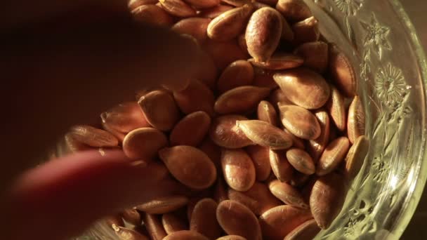 Dýňová semínka. Umyl čekání se pečená dýňová semínka. detail — Stock video