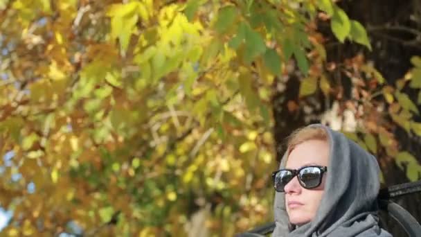 Beautiful woman in sunglasses sitting on the bench in autumn park. Yellow leaves — Stock Video