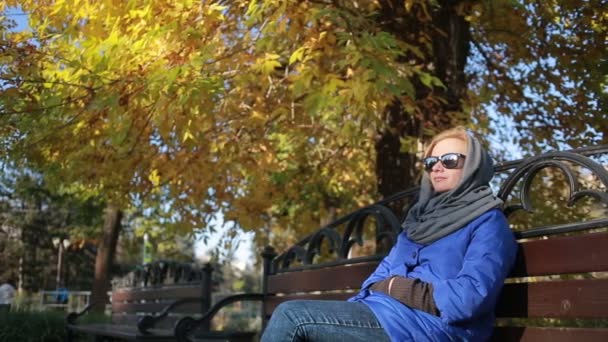 Vacker kvinna i solglasögon sitter på bänken i höst park. Gula blad — Stockvideo