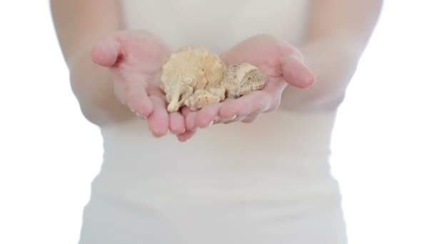 Hand holding Beautiful sea shell on a white — Stock video