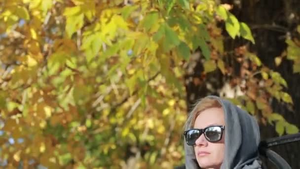 Красивая женщина в солнечных очках сидит на скамейке в осеннем парке. Желтые листья — стоковое видео